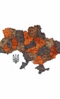 Карта Украины деревянная в цвете Вулканическая пыль