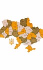 Мапа України дерев'яна на стіну Цитрус
