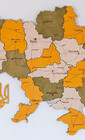 Карта Украины декор на стену Цитрус