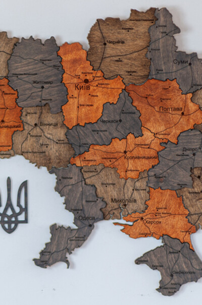 Декор на стену карта Украины деревянная цветная