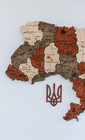 Карта України настінна в кольорі Брауні