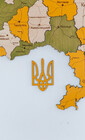 Карта Украины деревянная цветная на стену Цитрус